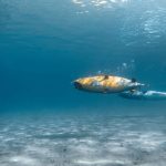 WhatsApp Image 2024-09-24 at 15.32.09_4063de83